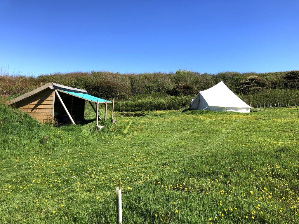 glamping bell tent Cornwall